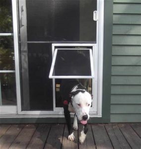 pet screen door